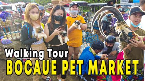 bocaue scandal